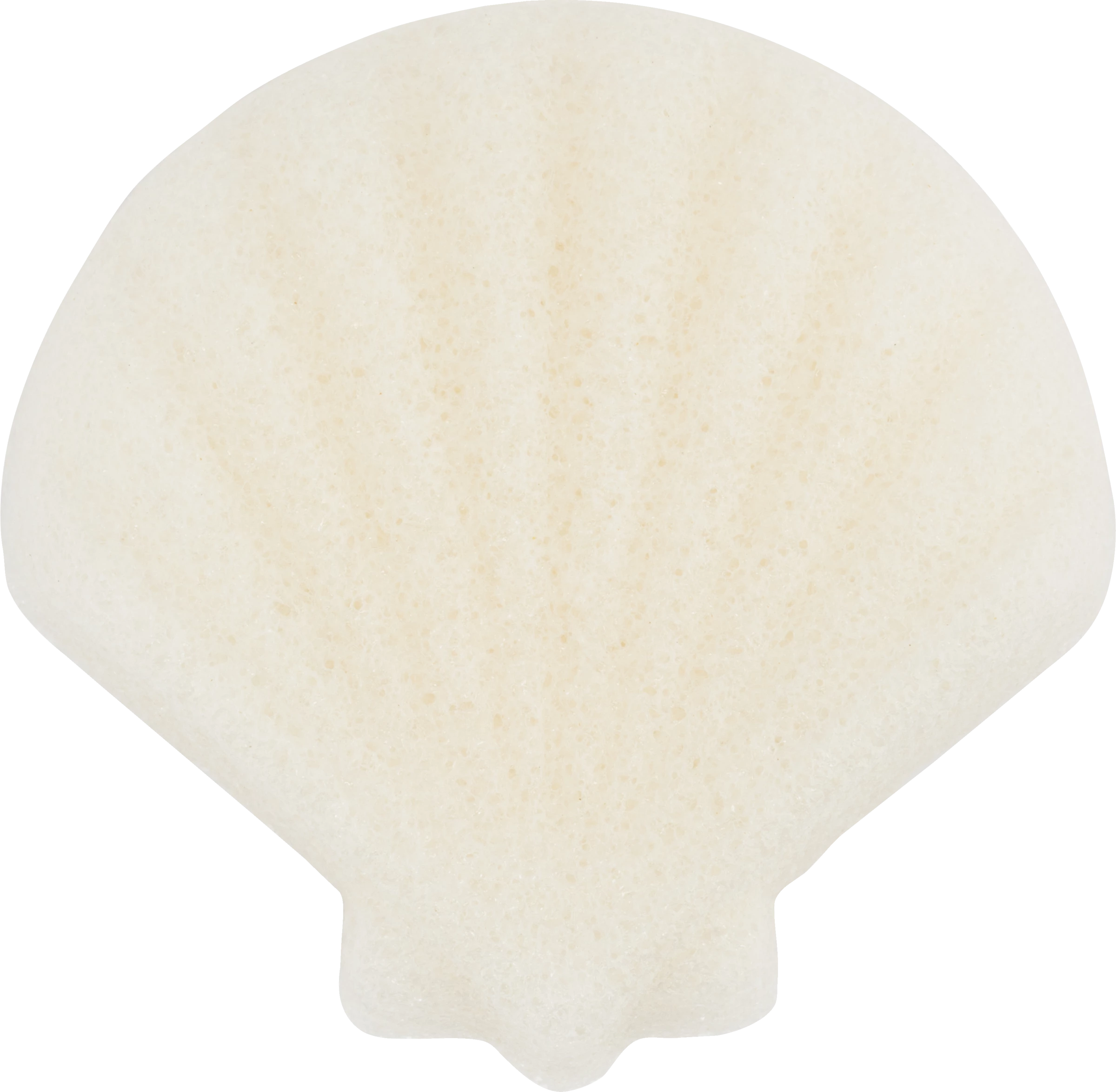 Essence Cute As Shell Konjac Face Sponge 01 All About Shell-Care! - Image 2